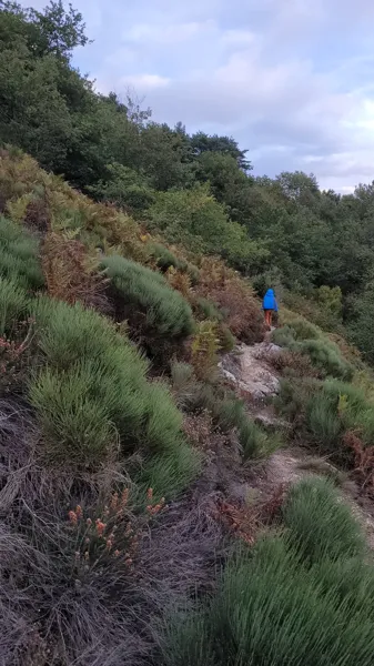 Panorama sur les gorges du Lot depuis Fombillou au Nayrac