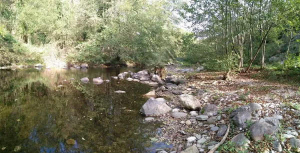 Rivière