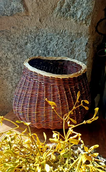 corbeille organique en osier cultivé, atelier de jovanne
