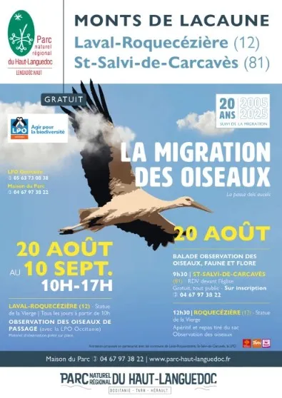 Migration des Oiseaux