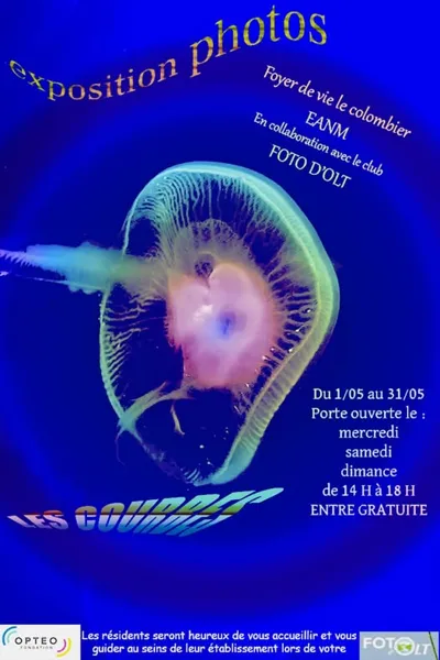 Exposition 