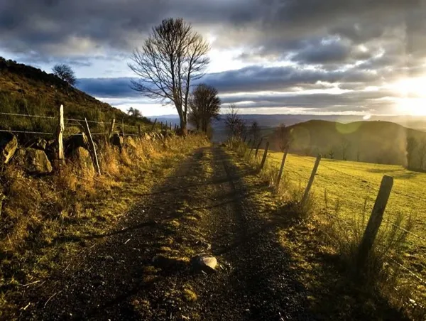 Agence Voyages Triangle, SARL Triangle Club Voyages