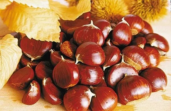 Fête des Châtaignes et du cidre doux