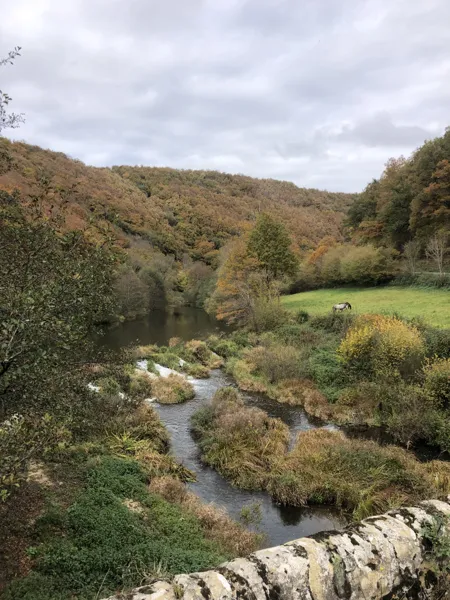 Vue - cabane en bord de rivière