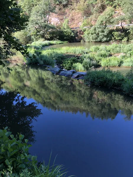 Cabane en bord de rivière