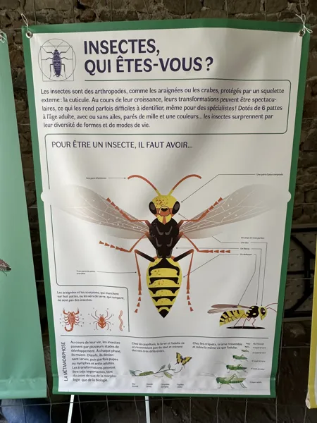 Exposition 