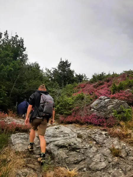 Balade découverte 
