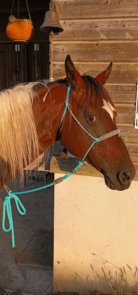 Le Ranch des Centaurées