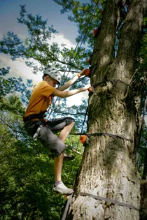 Escal'arbre avec Avenga