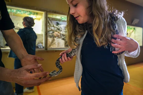 Halloween au Reptilarium du Larzac