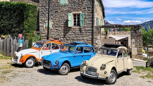 Les Chevaux Au Vent