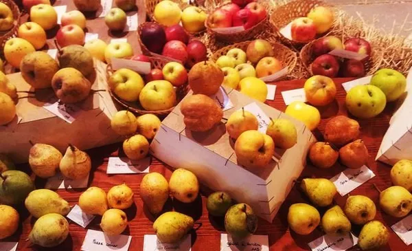 Fête des fruits de Salles-la-Source