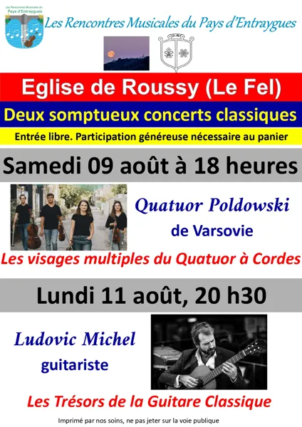 Concert de Ludovic Michel, guitariste