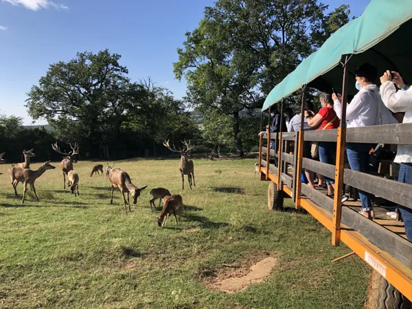 Visite en roulotte du Parc animalier Saint-Hubert