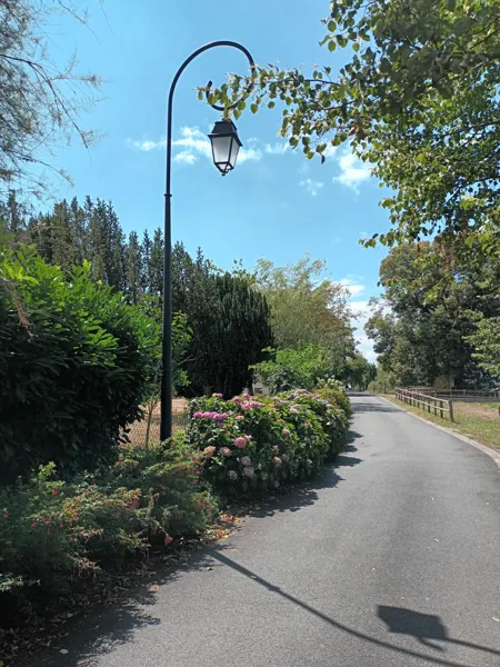 Circuit de découverte au Fel : un village, un vignoble