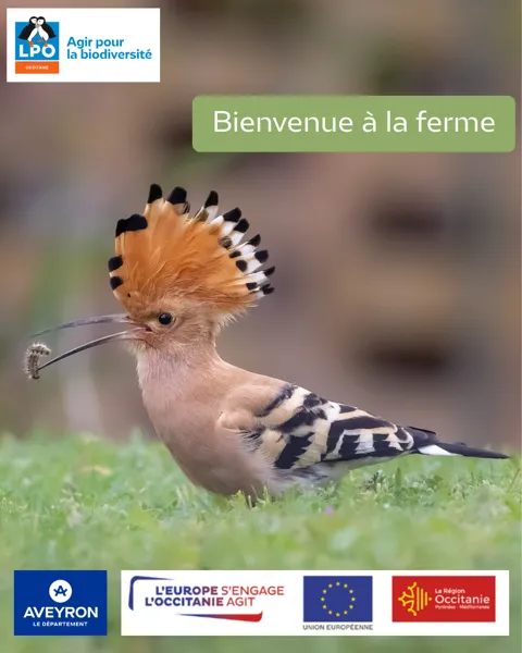 Sortie LPO à la ferme