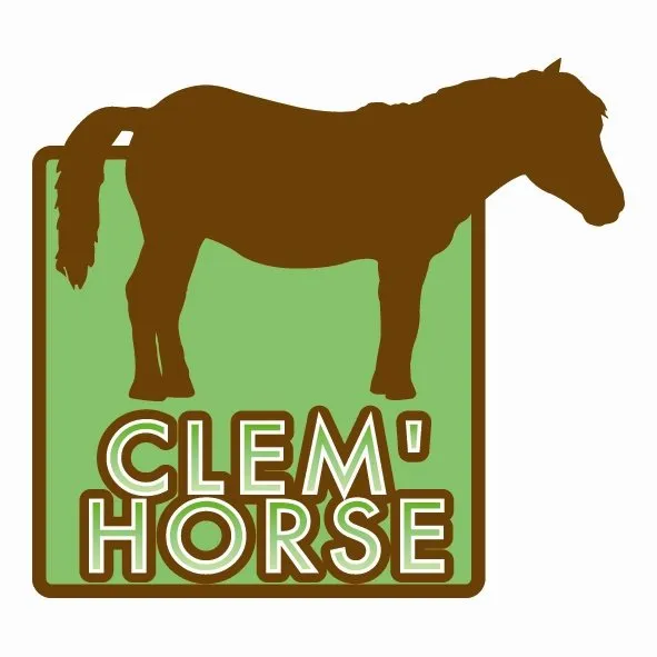 Séance saut d'obstacles avec Clem'Horse