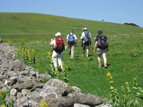 Randonnées pédestres accompagnées
