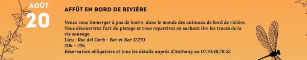Vulgaris Terra - Affût en bord de Rivière