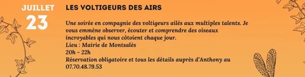 Vulgaris Terra - Les voltigeurs des airs