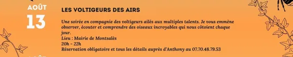 Vulgaris Terra - Les voltigeurs des airs