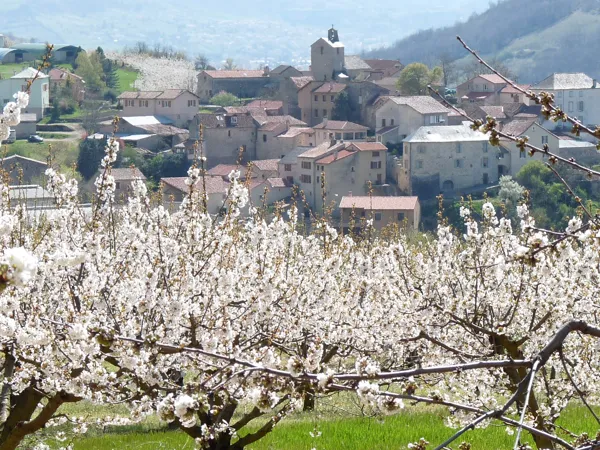 , OFFICE DE TOURISM DE MILLAU GRANDS CAUSSES - PAULHE