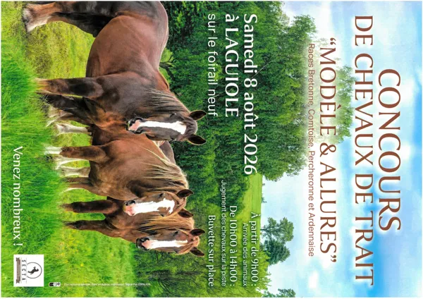 Concours de chevaux de trait