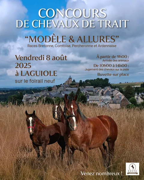 Concours de chevaux de trait
