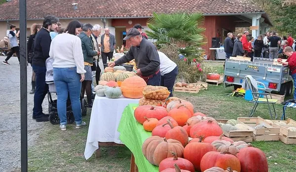 Foire à la Citrouille