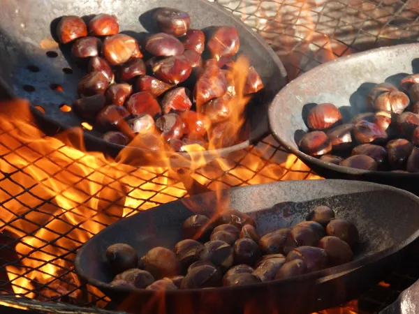 Grillée de châtaignes