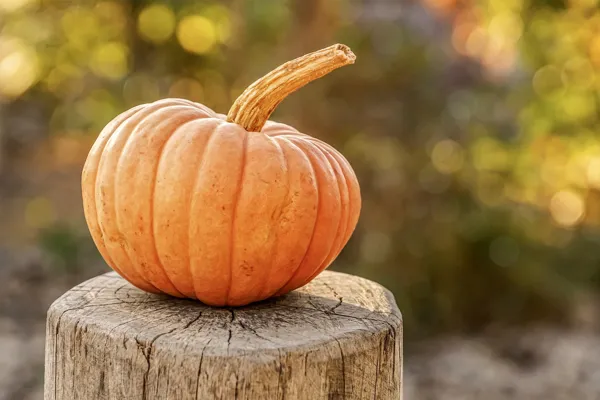 Spécial Halloween