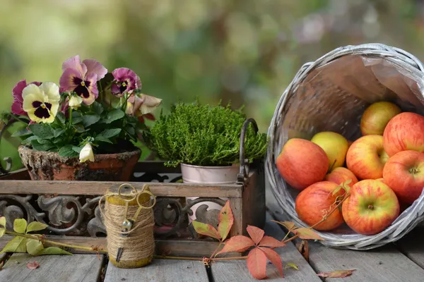 Goûter d’automne nature