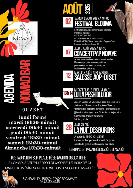 Concert au Nomad Bar : Pap Ndiaye
