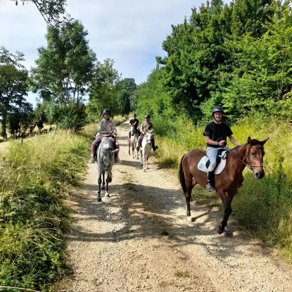 Randonnée à cheval à Briounas