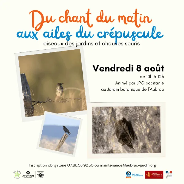 Du chant du matin aux ailes du crépuscule