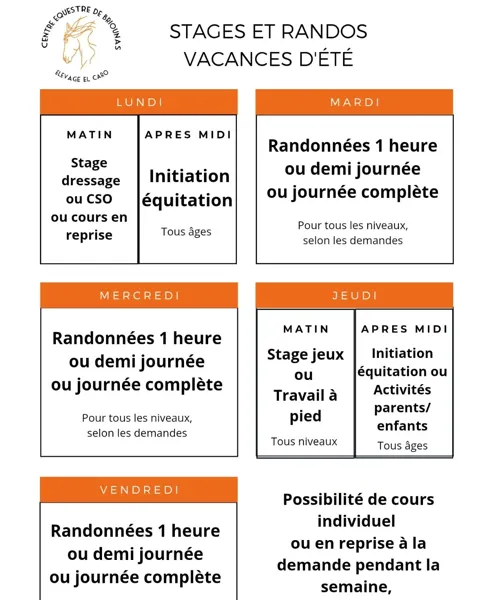 Stage jeux ou travail à pied au centre équestre de Briounas