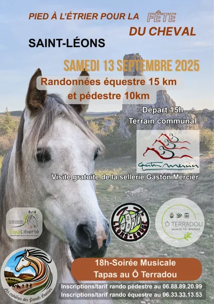Pied à l'étrier pour la fête du cheval