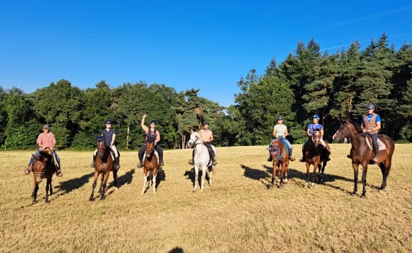 Pied à l'étrier pour la fête du cheval