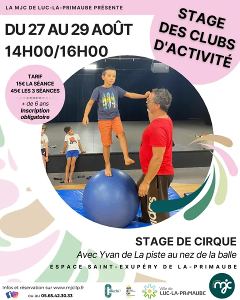 Stage de Cirque