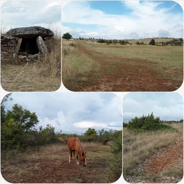 Mercredis cultur'actifs : sortie tumulus, atelier et goûter