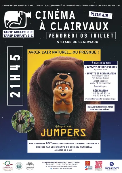 Ciné-grimpe d’arbre