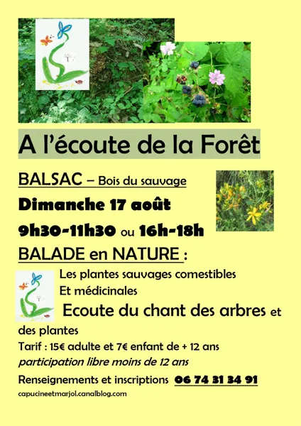 Balade Nature à Druelle-Balsac