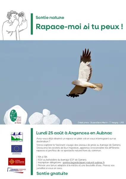 Sortie nature : Rapace-moi si tu peux !