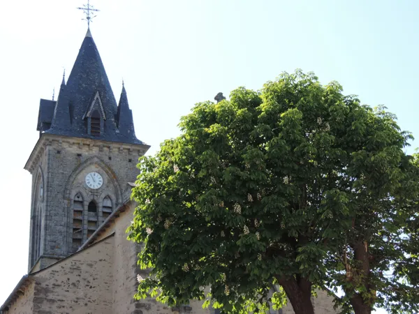 Visite commentée de l'église Ste Croix