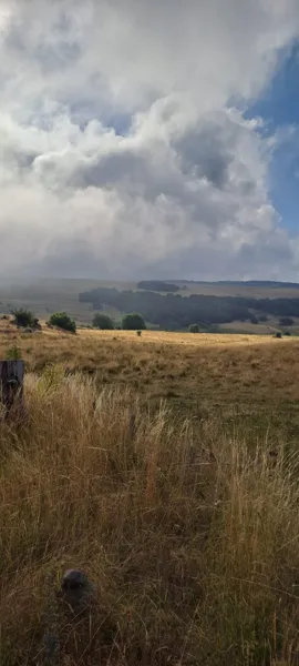 Balade naturaliste