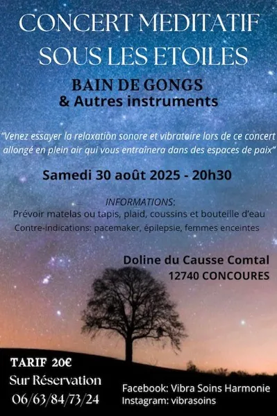 Concert méditatif sous les étoiles