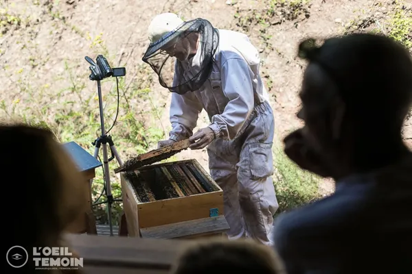 Ferme d’abeilles L’Arc en Miel