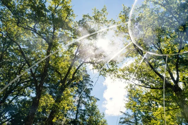Somn'en Bulle