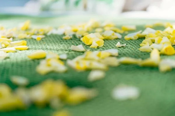 Somn'en Bulle, © Franck Tourneret