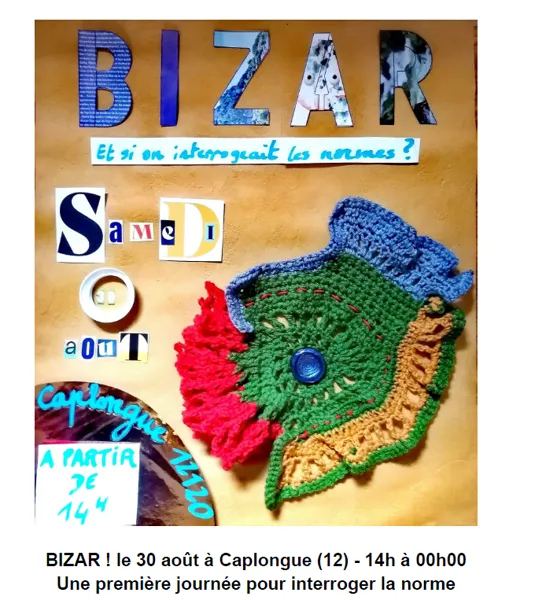 BIZAR, et si on interrogeait les normes ?